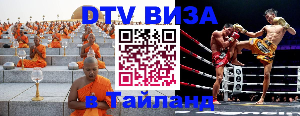 Сколько стоит DTV виза — актуальные цены, оформление даже без документов - София 